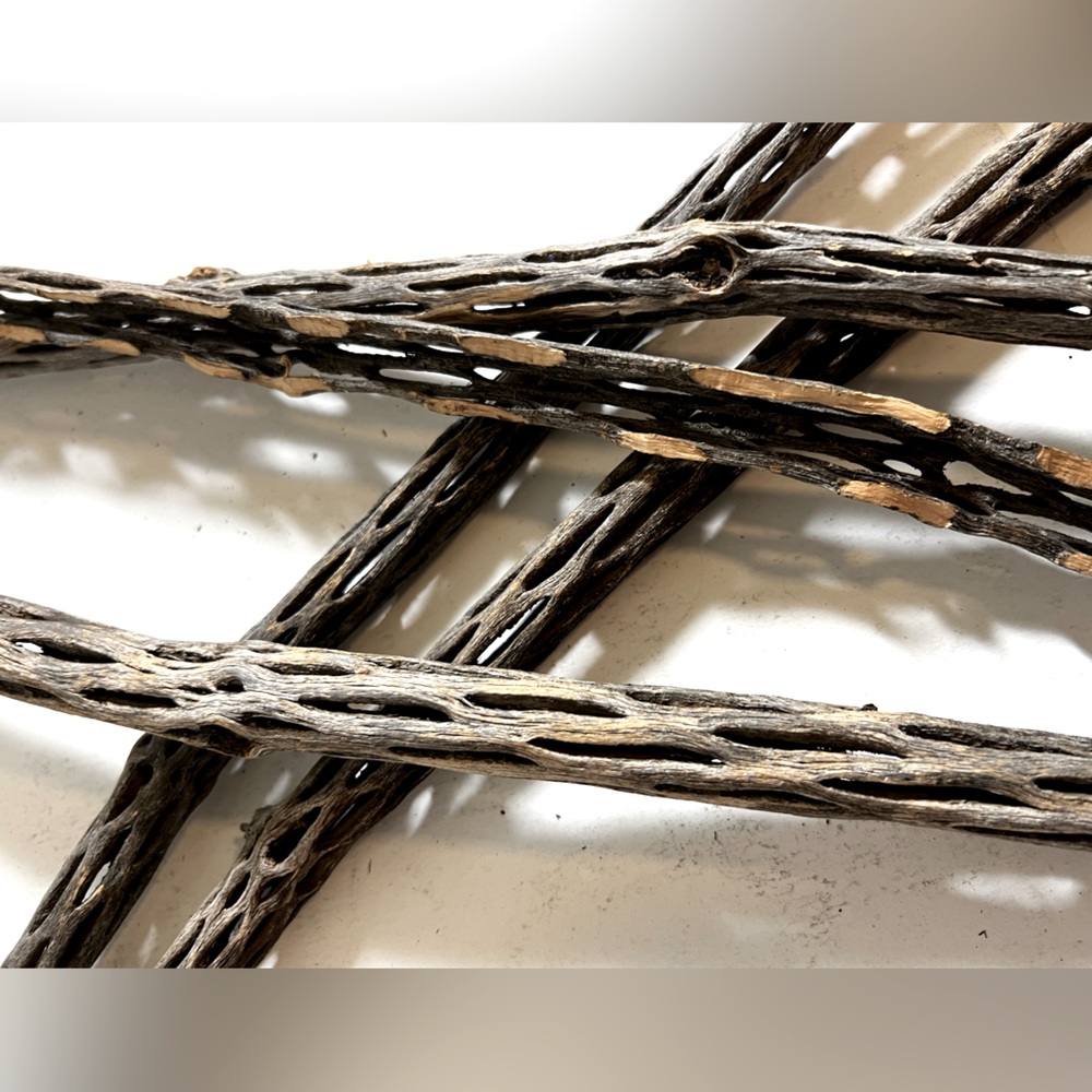 Cholla plant sticks 24 inch + dried cactus cholla wood